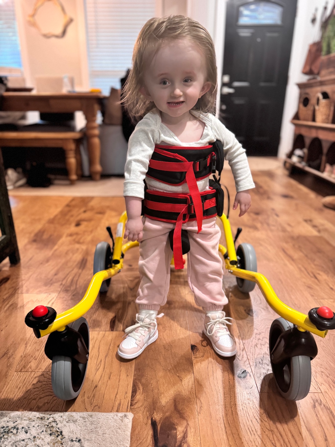 Harlow standing in her yellow gait trainer